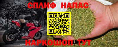 прущие крисы Будённовск