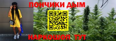 прущие крисы Будённовск