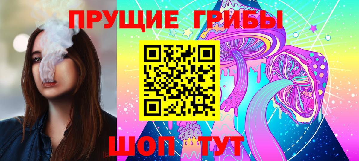 Галлюциногенные грибы Psilocybine cubensis  Вход с VPN  как найти   Псилоцибиновые грибы прущие грибы  Красный Сулин 